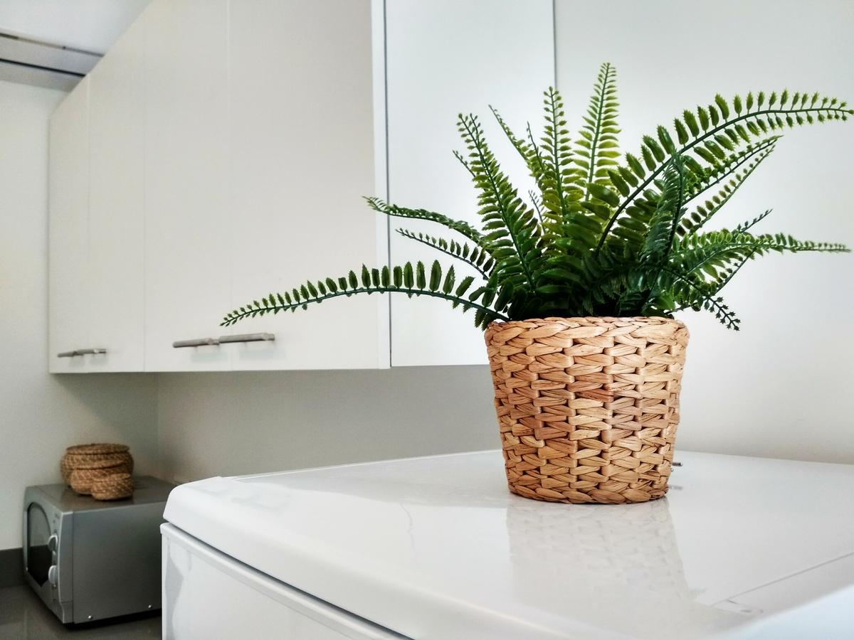 Beautiful Studio On Jerusalem Boulevard Tel Aviv Bagian luar foto